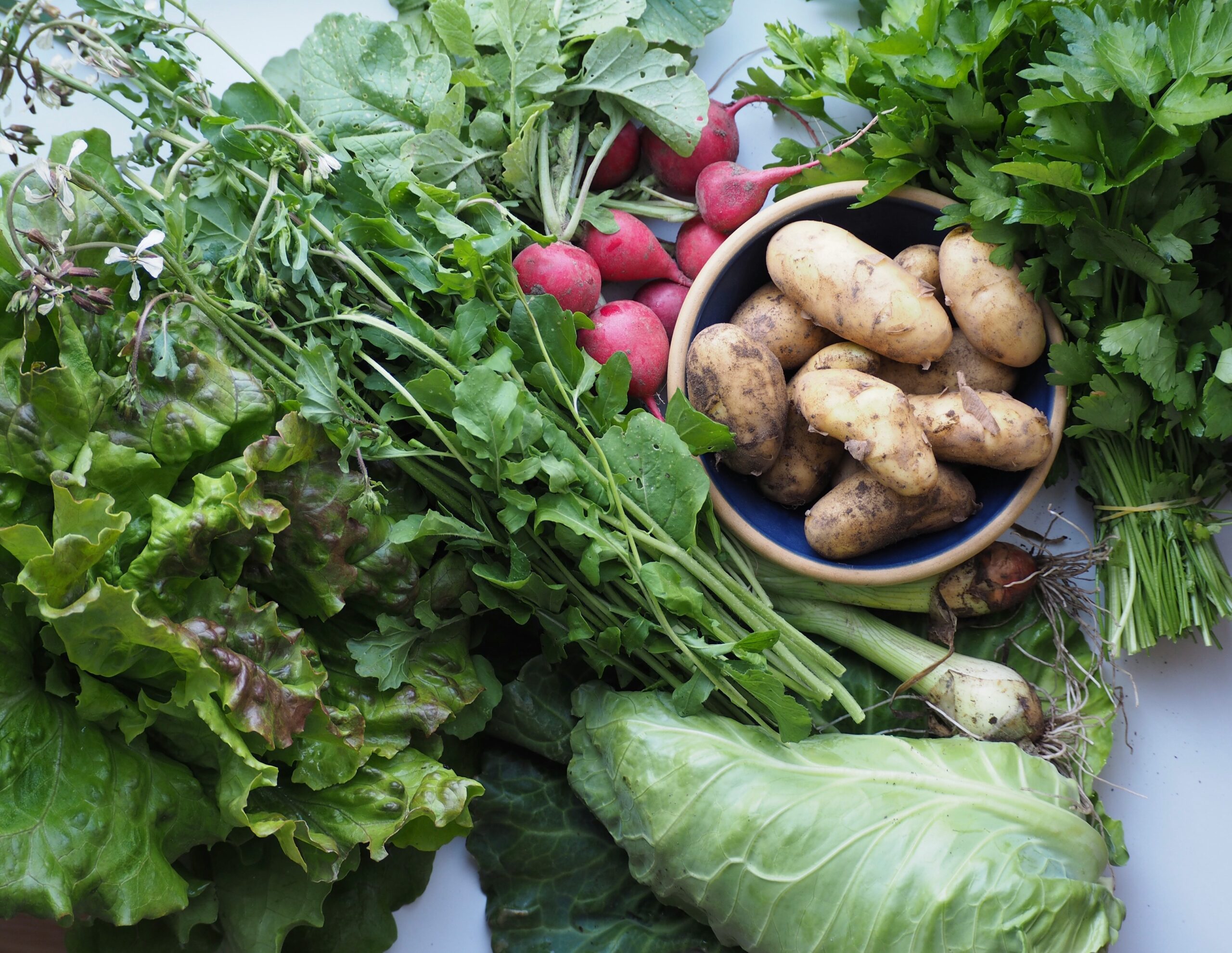 Example of produce in a local CSA membership.